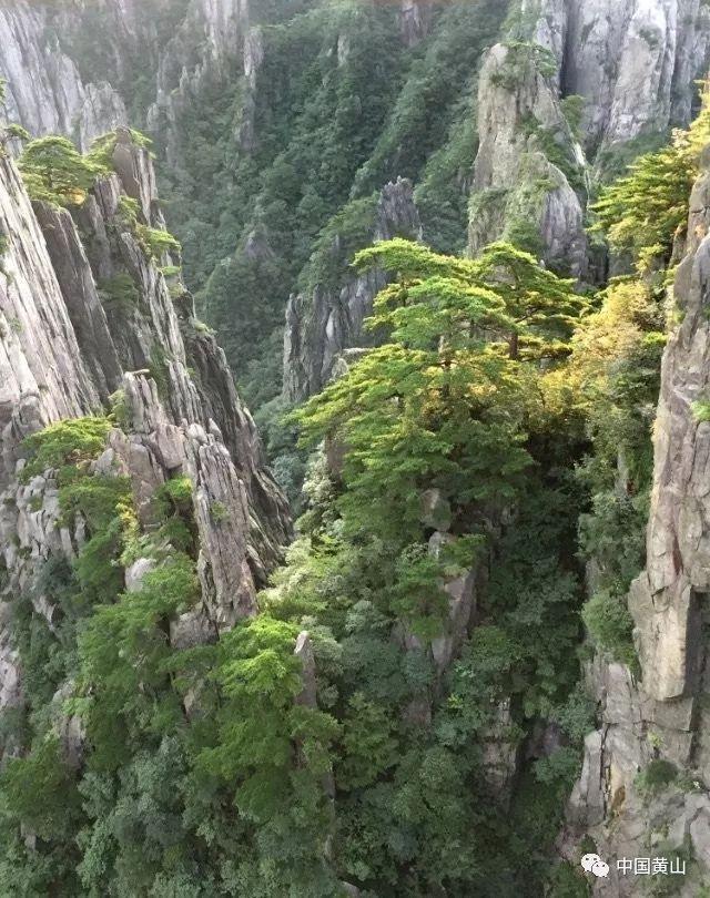 深夜廻